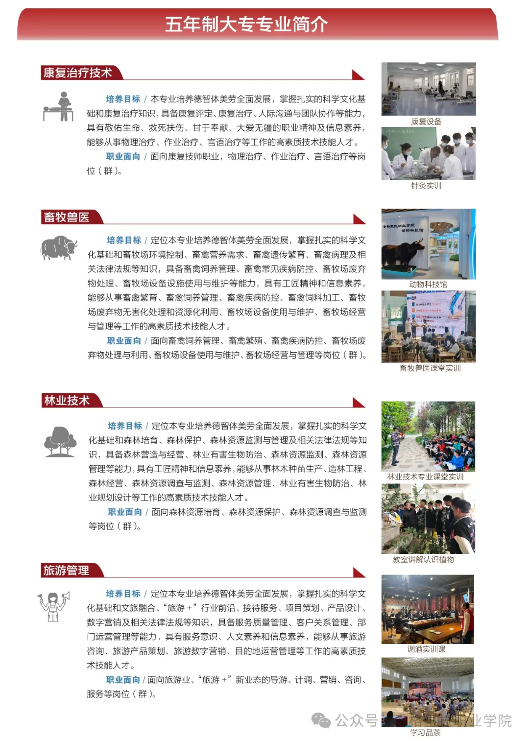 letou米兰国际赞助 迪庆藏族自治州民族中等专业学校2024年招生简章（中职）(图4)