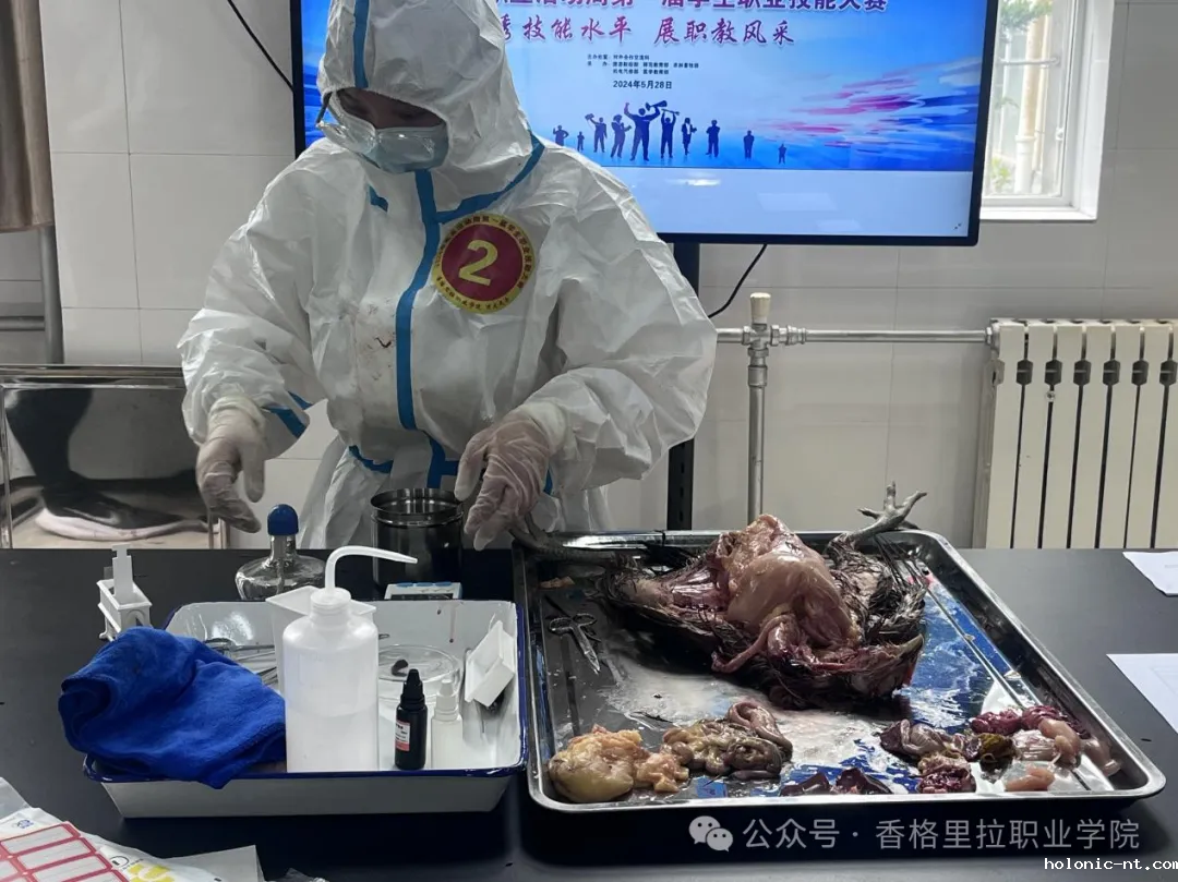 2024年职教活动周第一届学生职业技能比赛开幕(图5)