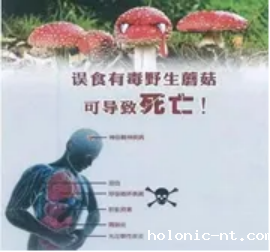 安全提醒｜学院校2024年国庆节假期安全提醒(图6)