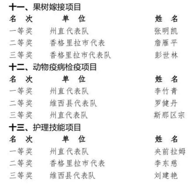 国际米兰俱乐部官网｜匠心筑梦 技能成才—迪庆州第二届职业技能大赛暨产业工人技能竞赛圆满落幕(图10)
